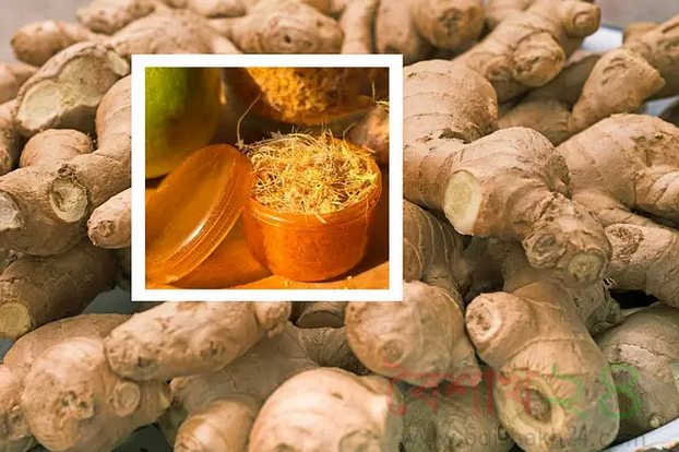 চুইং জিনজার এর উপকারিতা